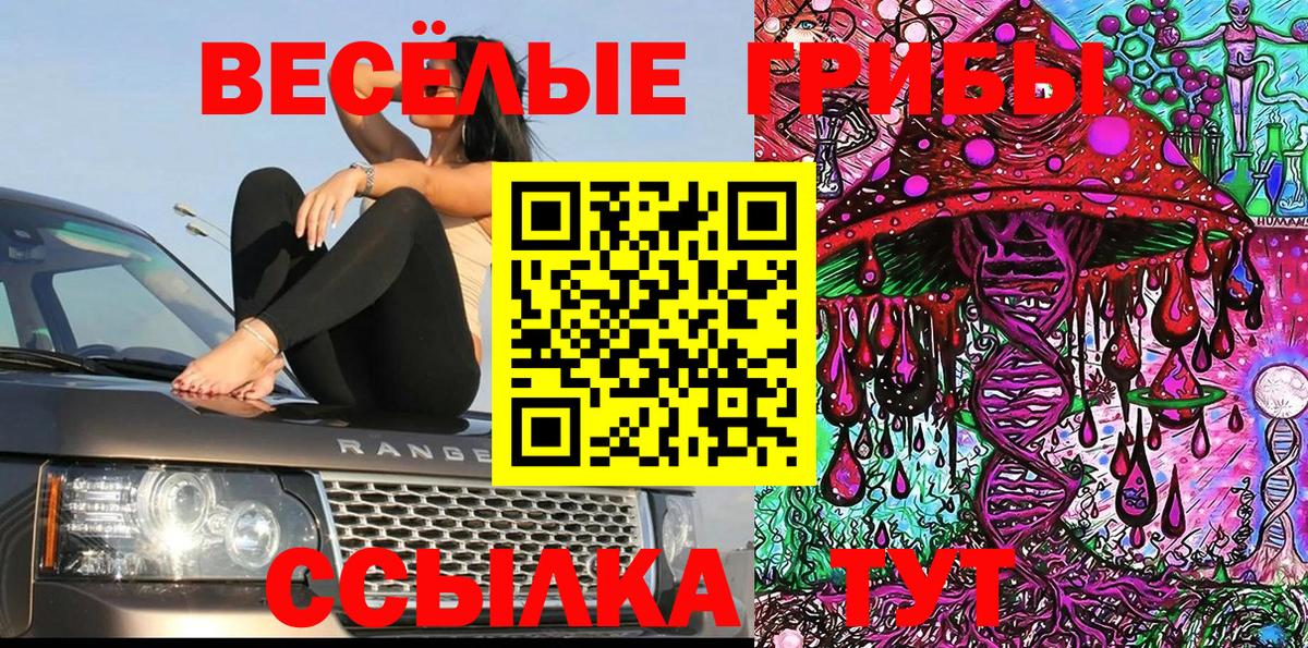 Галлюциногенные грибы Psilocybe  Вход с VPN  Большой Камень 